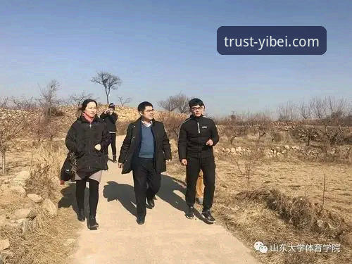 从“金元足球”到庭审现场：在易倍体育官网深度解析商业与体育风险管控的完整指南